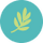 Aurora Forest